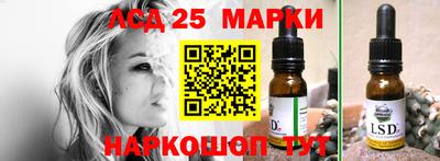spice Заволжье